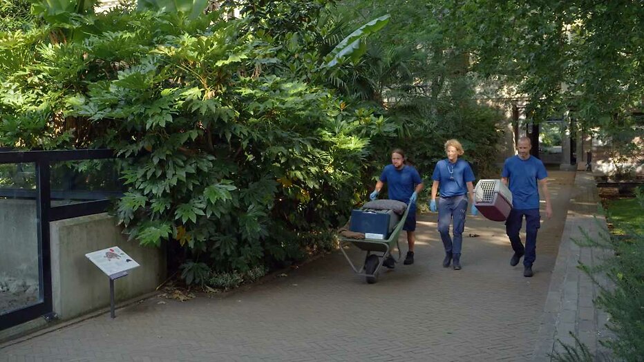 Still uit Bij Ons in de Dierentuin
