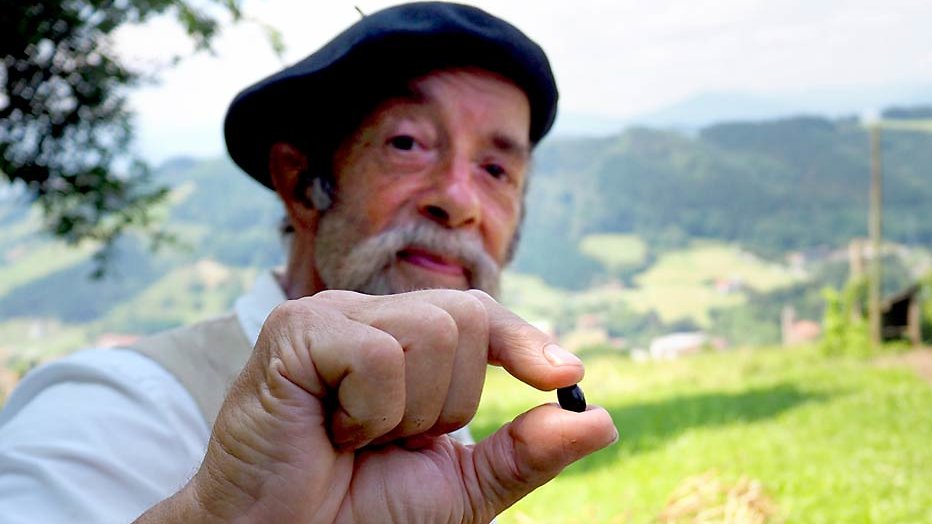 6 vragen aan Ilja Gort