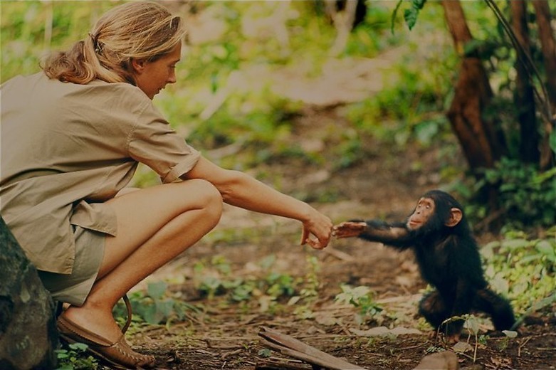 Onbekend materiaal van Jane Goodall
