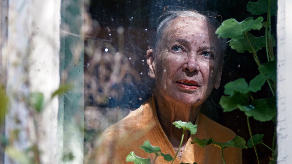 Sigrid Koetse Sigrid Koetse