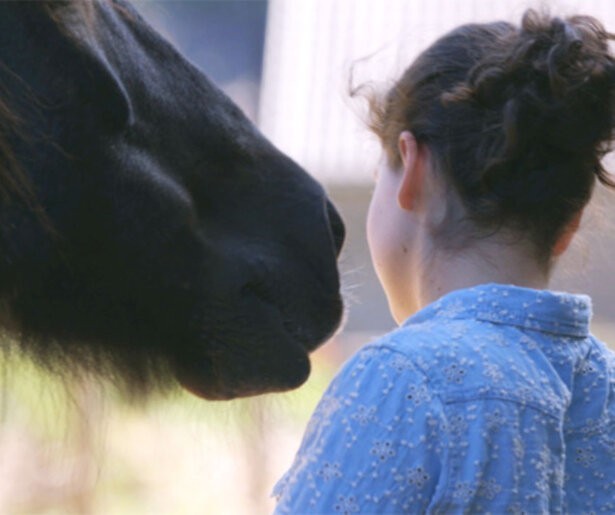 Documentaire over hoe paardencoaches jongeren helpen