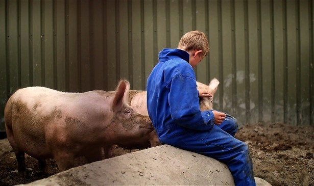 De nieuwe generatie boeren