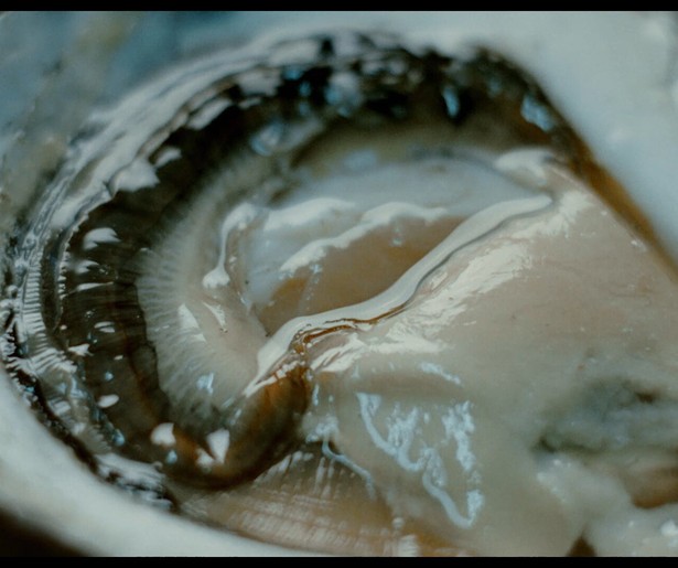 De oester staat centraal in The Taste Of Desire