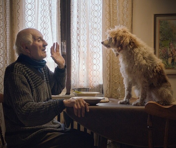 Speuren naar kostbare delicatessen in 2Doc: The Truffle Hunters