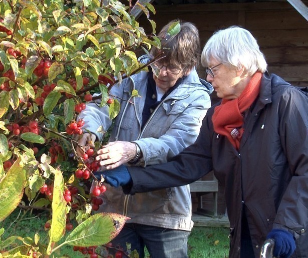 De weken voor de dood in 2Doc: Voorgoed Samen