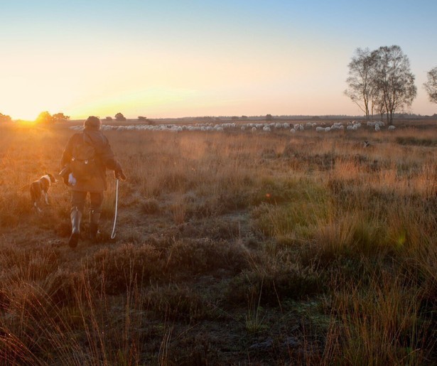 Makers va 2Doc: Wolvenland onderzoeken: hoe kijkt men aan tegen dit roofdier?