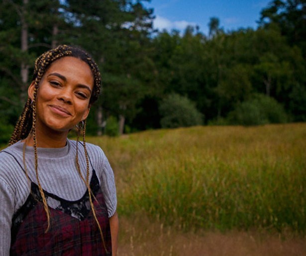 Wildkamperen in Nederland