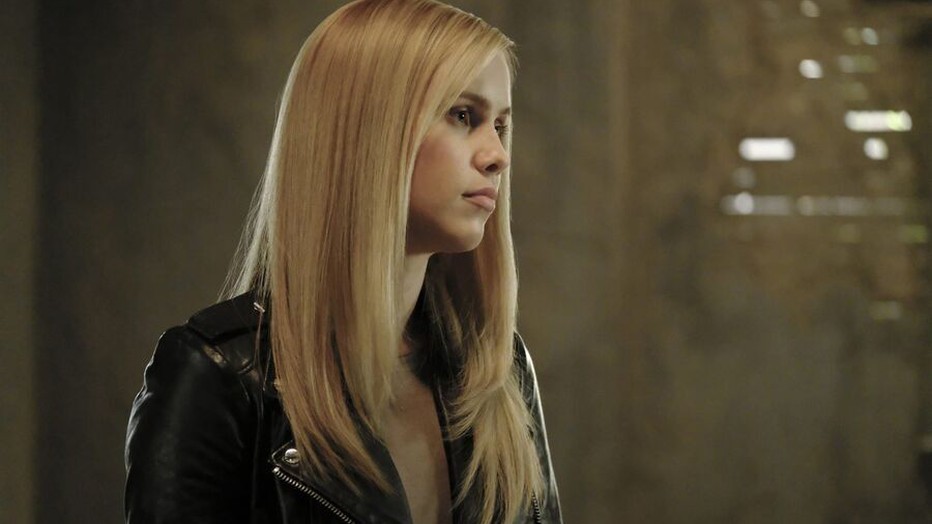 Claire Holt in 47 Meters Down Claire Holt in 47 Meters Down