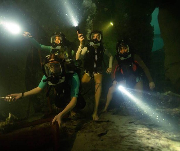 Zwemmen in een labyrint vol haaien