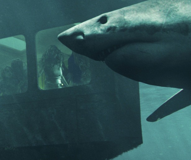 Zwemmen in een labyrint vol haaien in 47 Meters Down: Uncaged