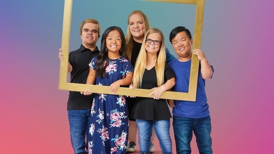 7 Little Johnstons