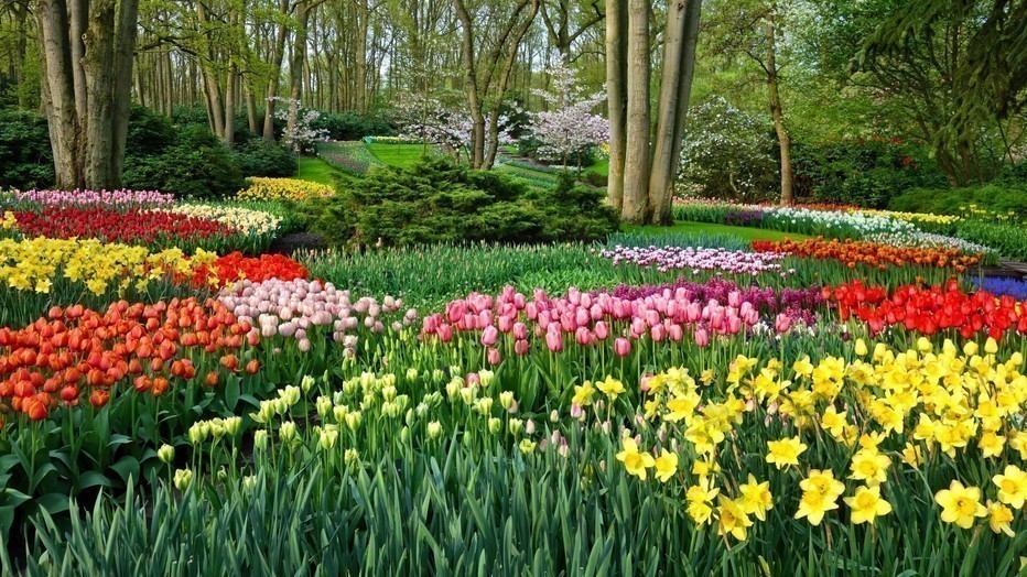 De Keukenhof