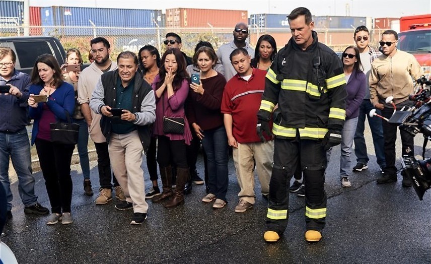 Tijgerhaai op de snelweg