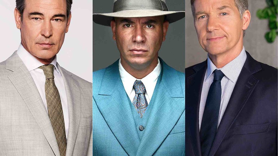 De genomineerden voor de Zilveren Televizier-Ster Acteurs 2017 De genomineerden voor de Zilveren Televizier-Ster Acteurs 2017