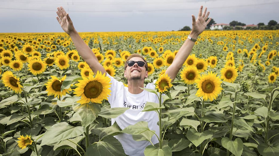 Wat doen de sterren dit weekend?