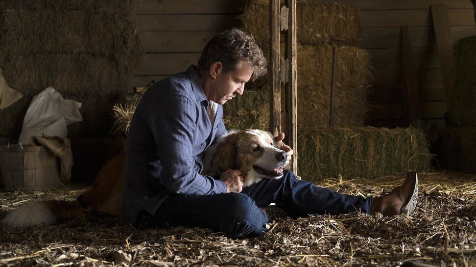 Still uit A Dog's Journey