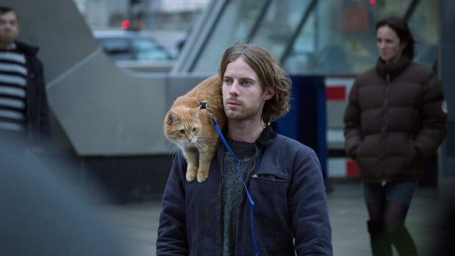 Luke Treadaway in A Street Cat Named Bob Luke Treadaway in A Street Cat Named Bob