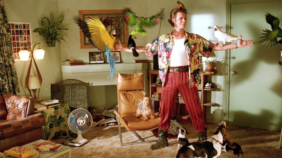 Jim Carrey in Ace Ventura: Pet Detective Jim Carrey in Ace Ventura: Pet Detective