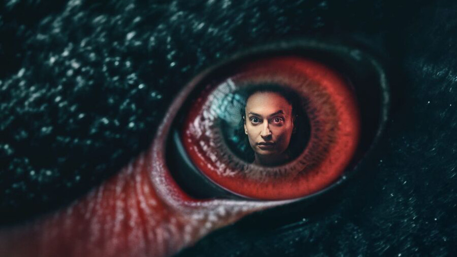 Amira Smajic in Advocaat van de Onderwereld