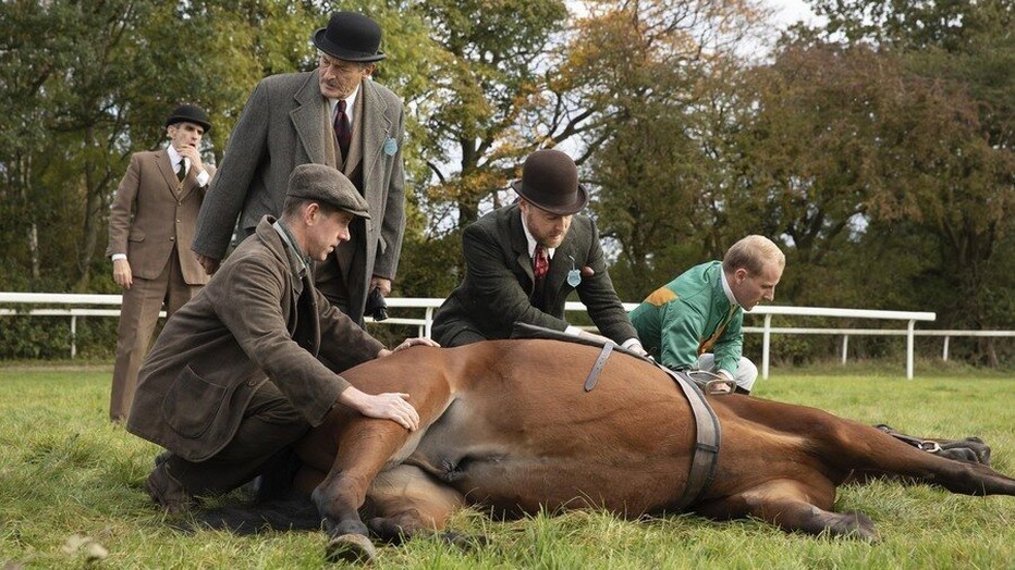 All Creatures Great and Small