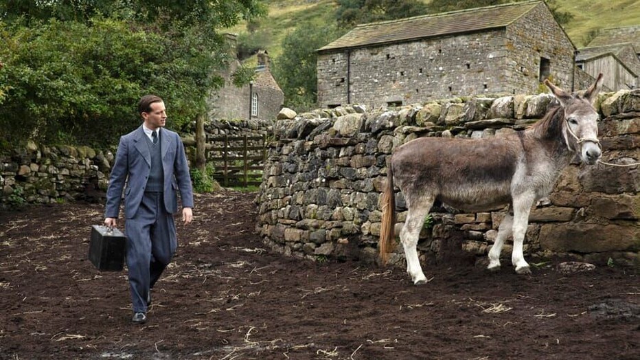 All Creatures Great and Small