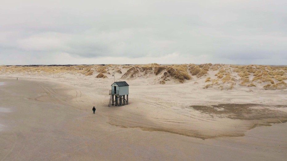 Lies Visschedijk in de vogelhut