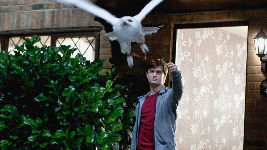 Daniel Radcliffe in Harry Potter
