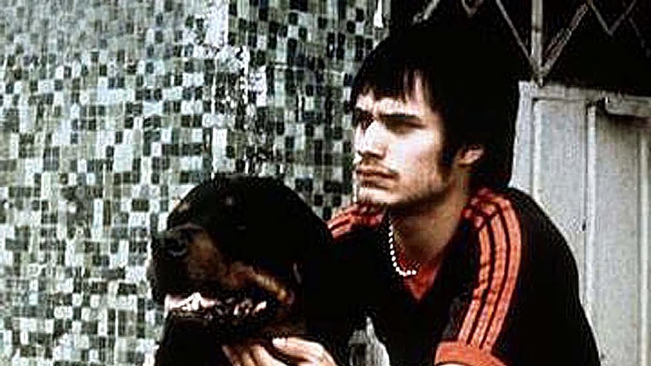 Gael García Bernal in Amores Perros