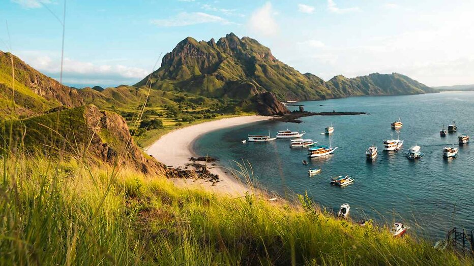 Sfeerafbeelding A.S.S. Anti Survival Show