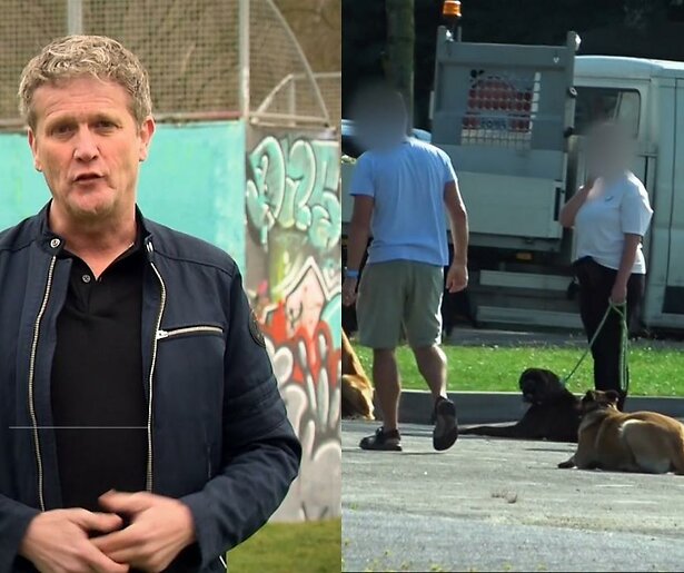 De TV van gisteren: Undercover in Nederland-kijkers woest op hondentrainer