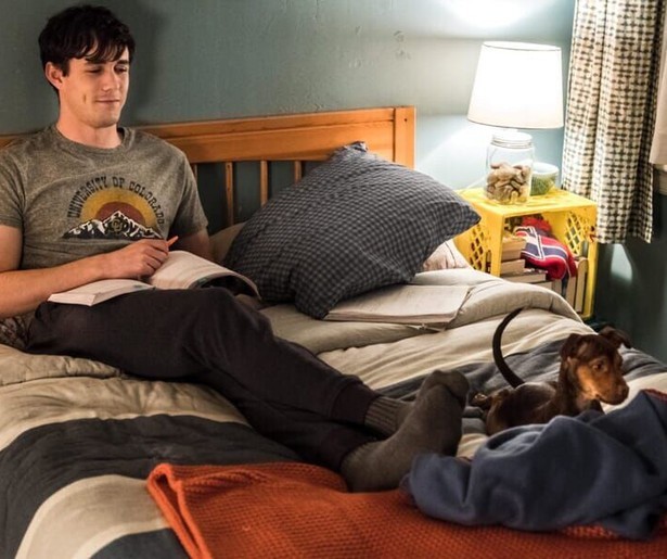 Een avontuurlijke reis door de ogen van een hond in A Dog's Way Home