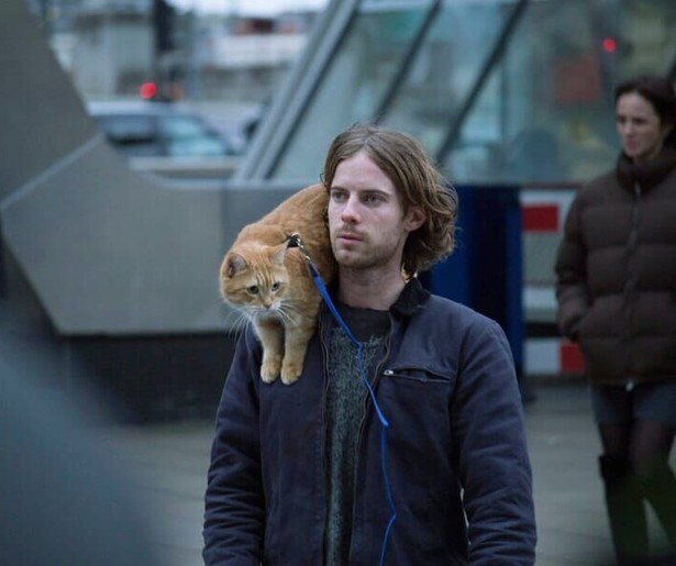 Ga jankend het jaar uit met A Street Cat Named Bob op NPO 2