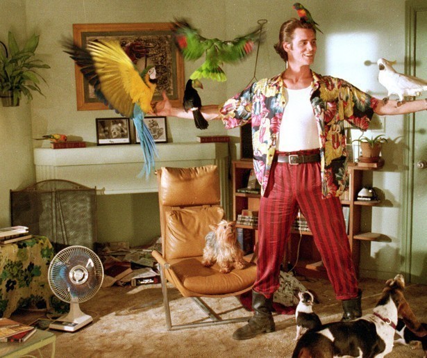 Jim Carrey redt het dierenrijk in Ace Ventura: Pet Detective