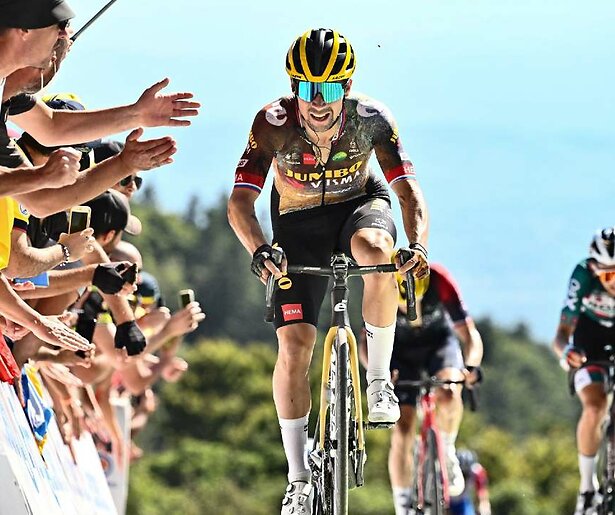 Pakt afdaler Primoz Roglic zijn kansen in de Tour de France?