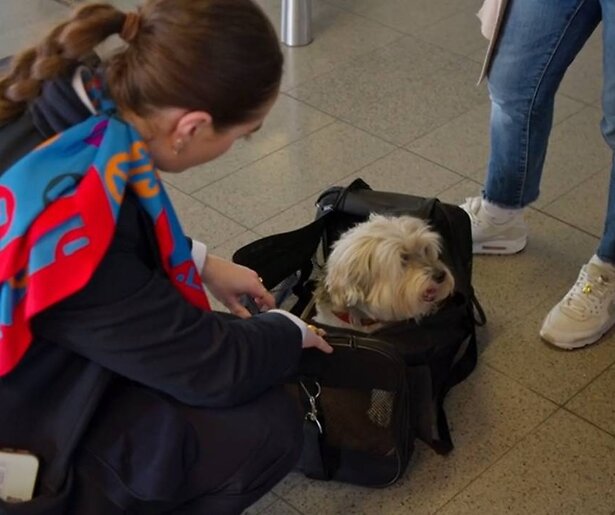 Dit is de startdatum van het nieuwe seizoen van Schiphol Airport