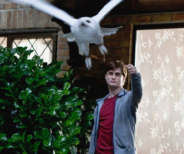 De cast en crew van Harry Potter halen herinneringen op in Alles over de Harry Potterfilms