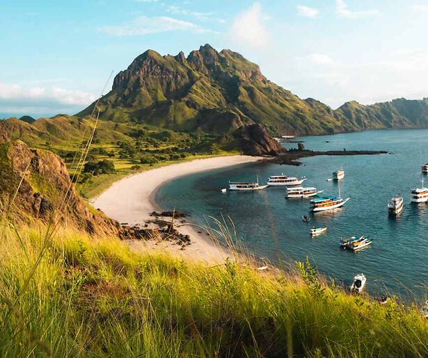 NET5 dropt 12 BN'ers op een eiland in nieuwe realityshow A.S.S. Anti Survival Show