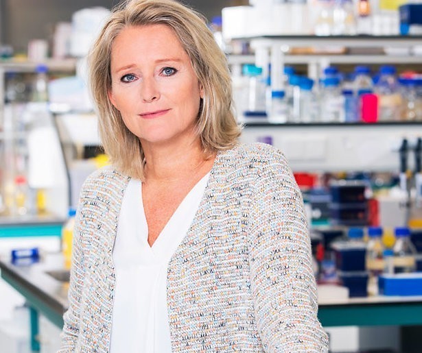 Antoinette Hertsenberg maakt tweeluik over cholesterol