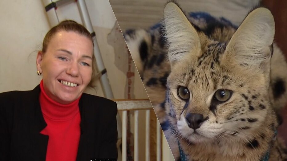 Bianca uit Help, Mijn Man is Klusser!