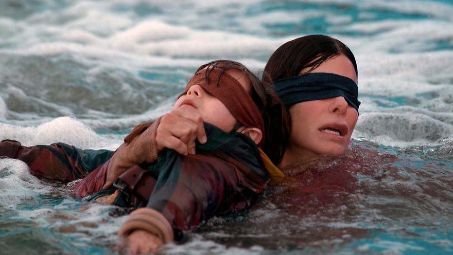 Bird Box Bird Box