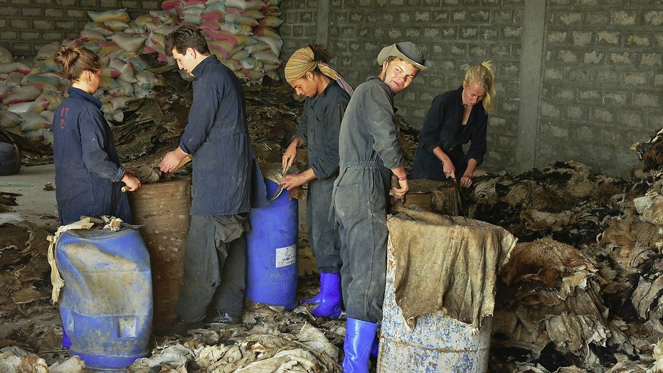 Kijktip: Bloed, Zweet en Luxeproblemen