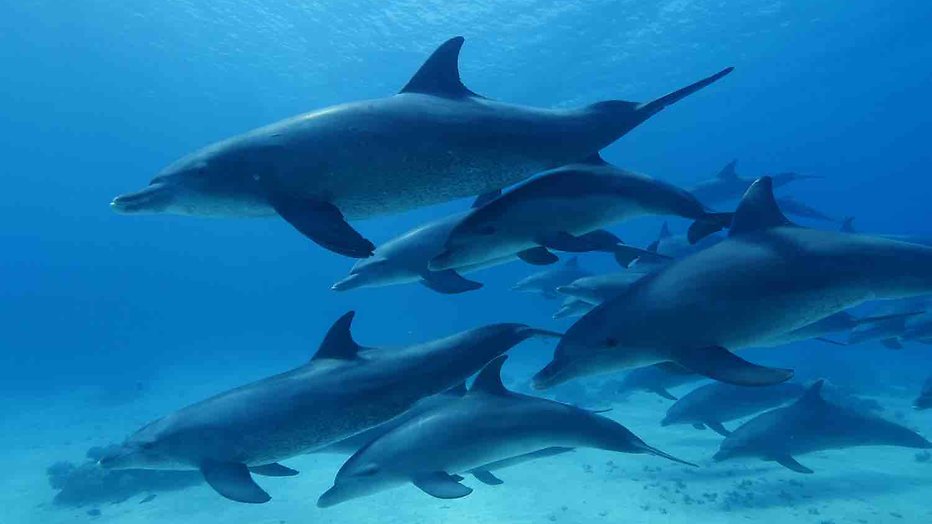 De TV van gisteren: Meer dan een miljoen voor kunst en natuur