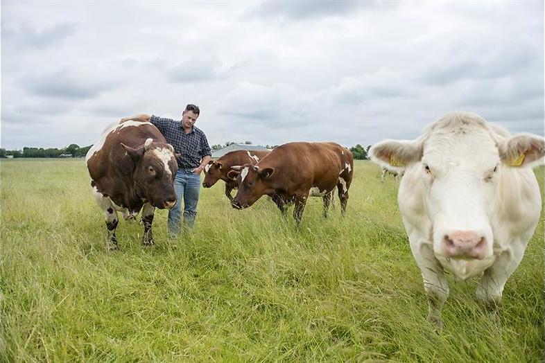 Boer zoekt Vrouw op reis