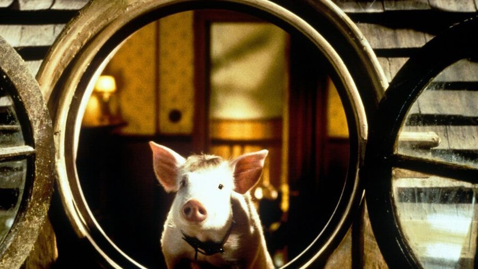 Still uit Babe: Pig in the City