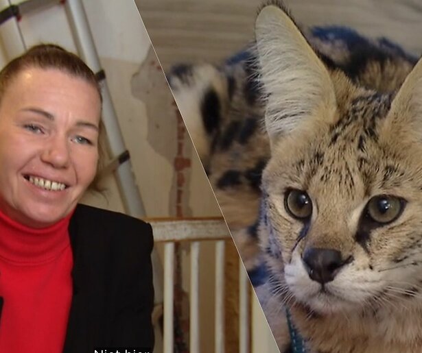 De TV van gisteren: beestenboel in Help, Mijn Man is Klusser roept veel reacties op