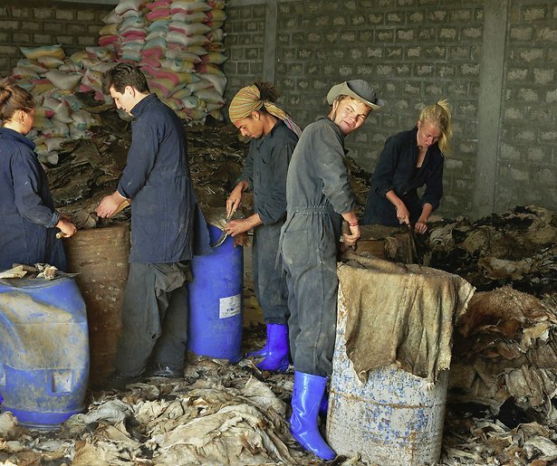 Kijktip: Bloed, Zweet en Luxeproblemen