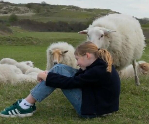 De TV van gisteren: Een Huis Vol sluit eerste week met goede cijfers af