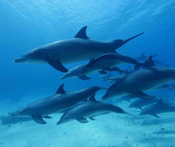 De TV van gisteren: Meer dan een miljoen voor kunst en natuur