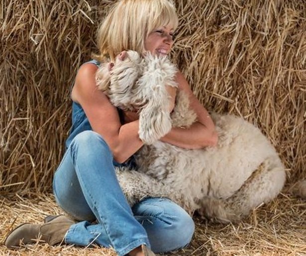 Hond van Yvon Jaspers bijna net zo populair als boer Tom