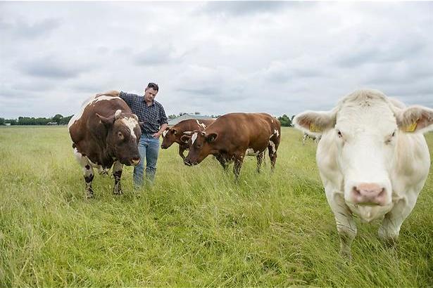 Boer zoekt Vrouw op reis